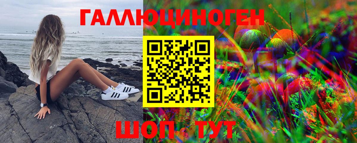 Псилоцибиновые грибы GOLDEN TEACHER Кемерово